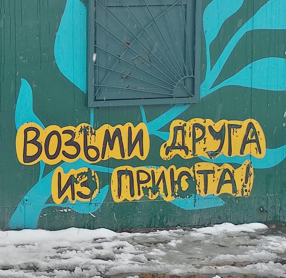 Лучше маленькая помощь, чем большое сочувствие. Волонтёрство профсоюзной молодежи в г. Тюмени