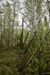 5373198065655216116